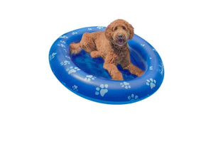Pool Candy Dog Pool Float and Lounger