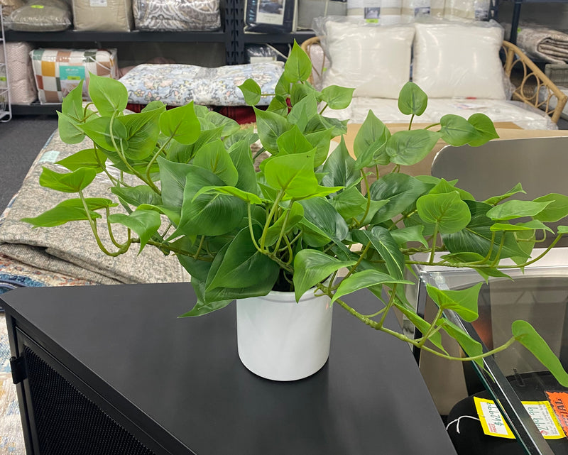 Pothos Faux Plant