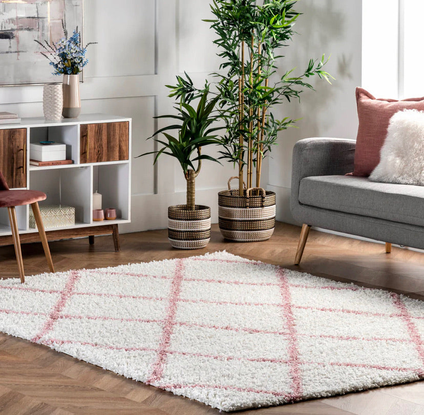 4' x 6' Tess Moroccan Shag Area Rug - Pink