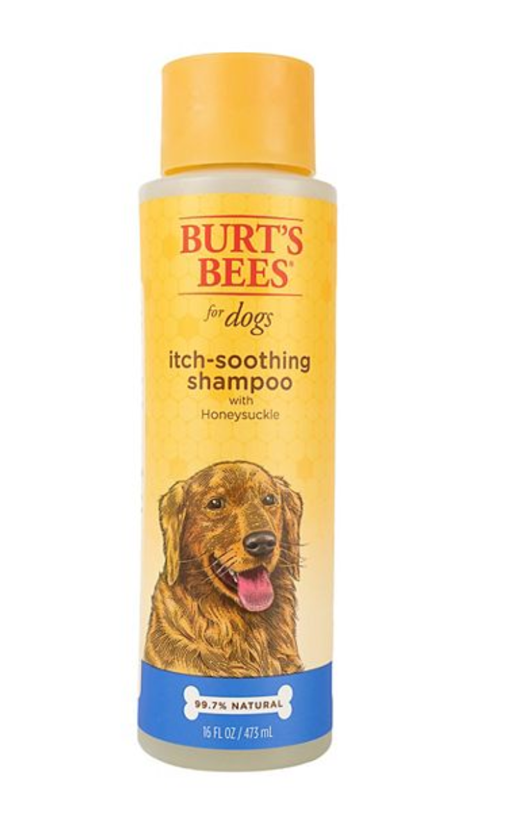 Burt's Bees Itch Soothing Shampoo with Honeysuckle for Dogs (16oz)