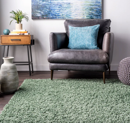 Kara Shag Area Rug Green 7' 10