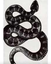 Load image into Gallery viewer, Thomas Paul Power Loomed Serpent Area Rug B/W 5'x8'

