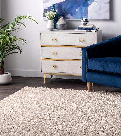 Kara Shag Area Rug Beige 9' x 12'