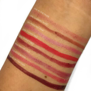 COVERGIRL Exhibitionist Lip Liner 235 Plum Partner- 0.01oz