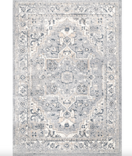 Load image into Gallery viewer, Gena Distressed Transitional Medallion Area Rug Light Grey 8' x 10'
