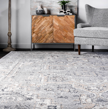 Load image into Gallery viewer, Gena Distressed Transitional Medallion Area Rug Light Grey 8' x 10'
