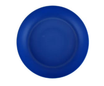10" Blue Plastic Dinner Plate