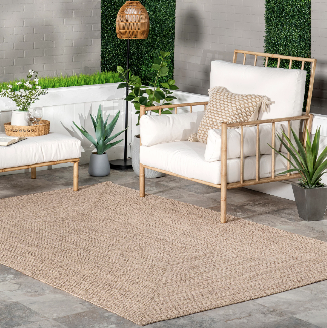 Wynn Braided Indoor/Outdoor Area Rug 10' x 14'