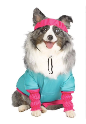 Barbie Aerobics Pet Dog Halloween Costume Outfit Size Small 11-17 LBS