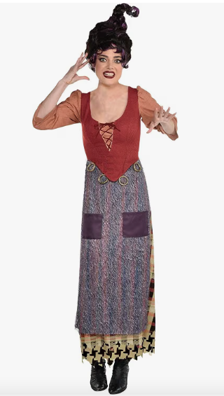 Hocus Pocus, Mary Sanderson Halloween Costume for Women, Adult L/XL