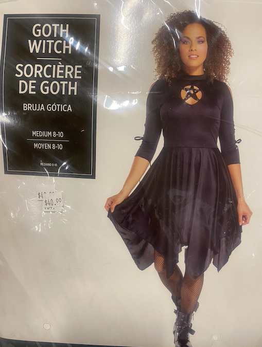 Goth Witch Costume: Adult Medium 8/10