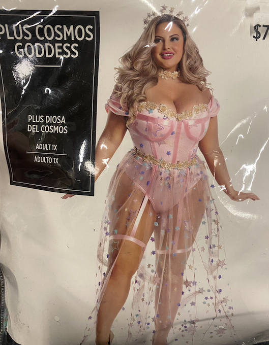 Plus Cosmos Goddess Costume: Adult 1x