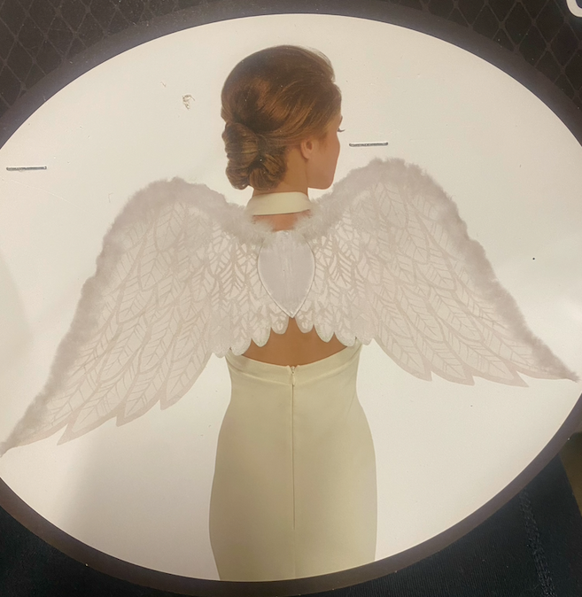 Guardian Angel Wings