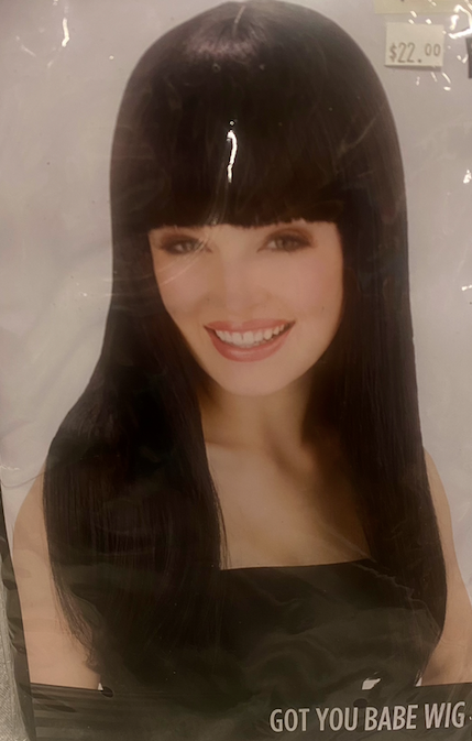 Got You Babe Wig