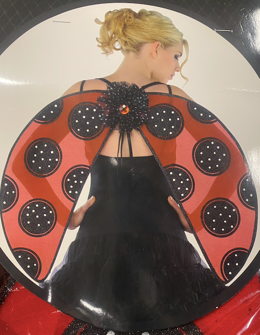 Ladybug Wings
