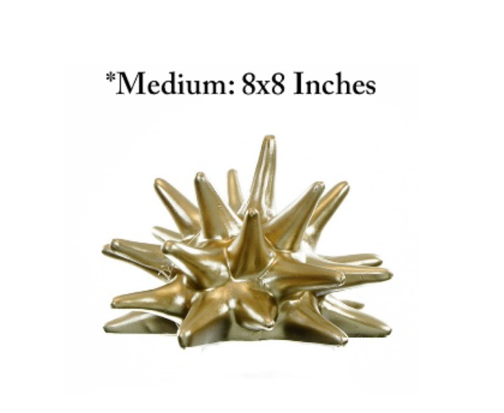 Decor Half Urchin -Champagne 8X8