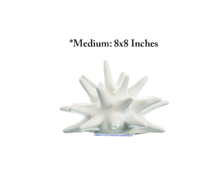 Decor Half Urchin -White 8X8