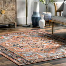 Load image into Gallery viewer, Sherita Distressed Persian Area Rug Rust 5&#39; 5&quot; x 8&#39;
