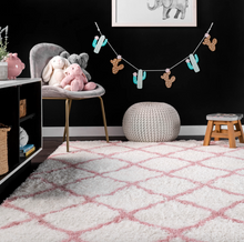 Load image into Gallery viewer, 4&#39; x 6&#39; Nelda Trellis Kids Shag Area Rug
