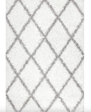Load image into Gallery viewer, 4&#39; x 6&#39; Tess Moroccan Shag Area Rug - Gray
