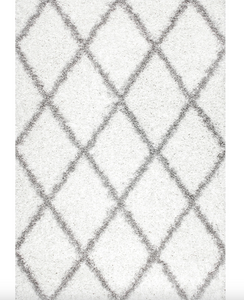 4' x 6' Tess Moroccan Shag Area Rug - Gray