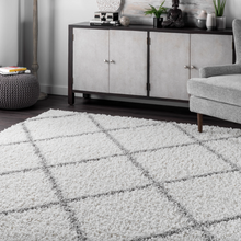 Load image into Gallery viewer, 4&#39; x 6&#39; Tess Moroccan Shag Area Rug - Gray
