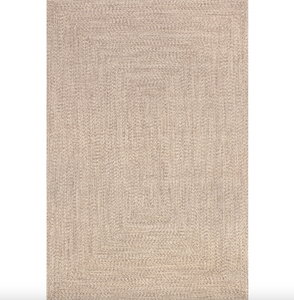 Wynn Braided Indoor/Outdoor Area Rug Tan 4' x 6' Rectangle