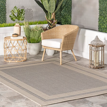 Load image into Gallery viewer, Antonella Bordered Solid Indoor/Outdoor Area Rug 7&#39;6&quot;x9&#39;10&quot;
